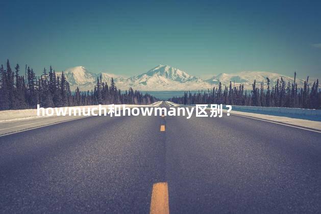 howmuch和howmany区别？“How much and how many - what's the difference”